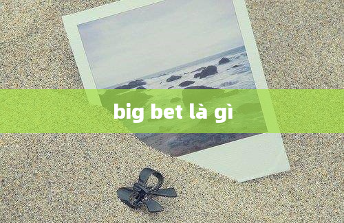 big bet là gì