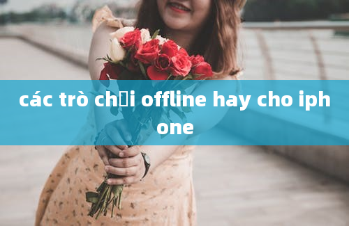 các trò chơi offline hay cho iphone