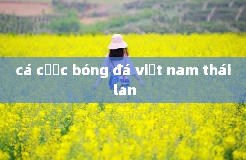 cá cược bóng đá việt nam thái lan