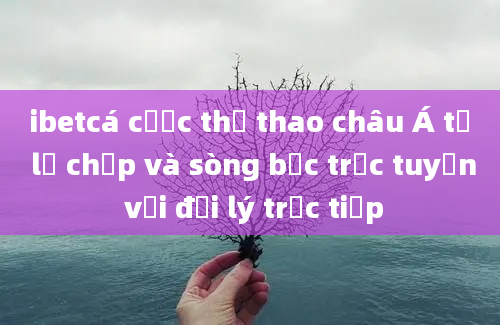 ibetcá cược thể thao châu Á tỷ lệ chấp và sòng bạc trực tuyến với đại lý trực tiếp