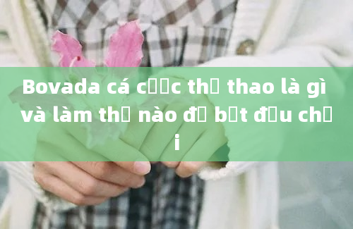 Bovada cá cược thể thao là gì và làm thế nào để bắt đầu chơi