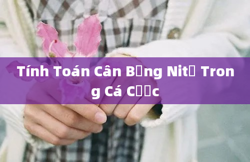 Tính Toán Cân Bằng Nitơ Trong Cá Cược