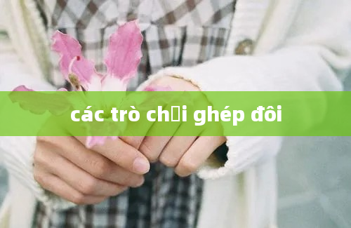 các trò chơi ghép đôi