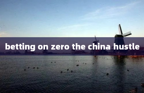 betting on zero the china hustle