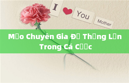 Mẹo Chuyên Gia Để Thắng Lớn Trong Cá Cược