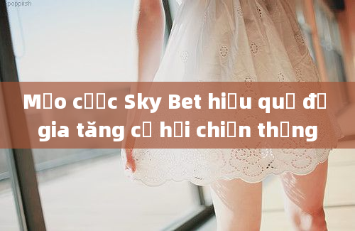 Mẹo cược Sky Bet hiệu quả để gia tăng cơ hội chiến thắng