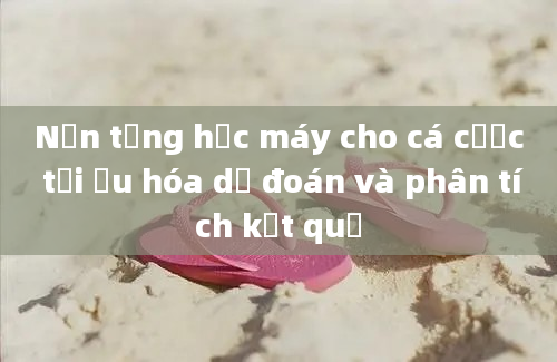 Nền tảng học máy cho cá cược tối ưu hóa dự đoán và phân tích kết quả