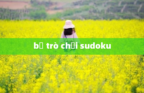 bộ trò chơi sudoku