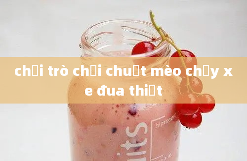 chơi trò chơi chuột mèo chạy xe đua thiệt