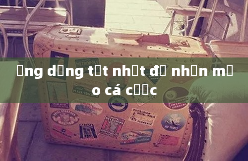 Ứng dụng tốt nhất để nhận mẹo cá cược