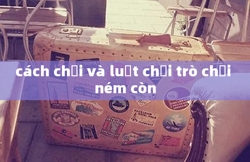 cách chơi và luật chơi trò chơi ném còn