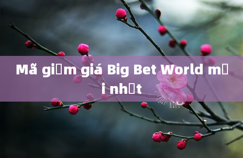 Mã giảm giá Big Bet World mới nhất