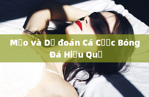 Mẹo và Dự đoán Cá Cược Bóng Đá Hiệu Quả