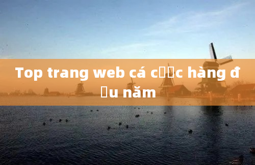 Top trang web cá cược hàng đầu năm