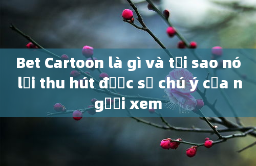 Bet Cartoon là gì và tại sao nó lại thu hút được sự chú ý của người xem