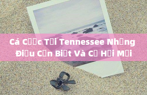 Cá Cược Tại Tennessee Những Điều Cần Biết Và Cơ Hội Mới