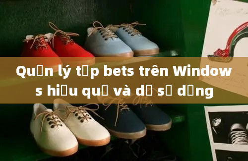 Quản lý tệp bets trên Windows hiệu quả và dễ sử dụng