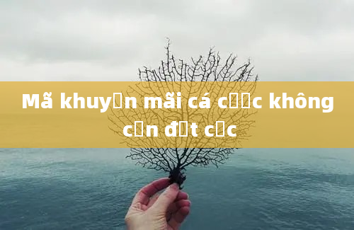 Mã khuyến mãi cá cược không cần đặt cọc