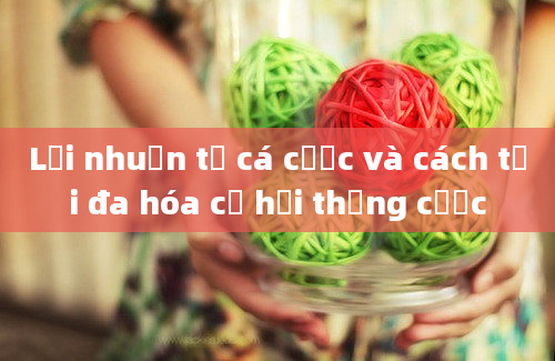 Lợi nhuận từ cá cược và cách tối đa hóa cơ hội thắng cược