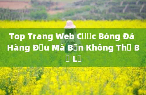 Top Trang Web Cược Bóng Đá Hàng Đầu Mà Bạn Không Thể Bỏ Lỡ