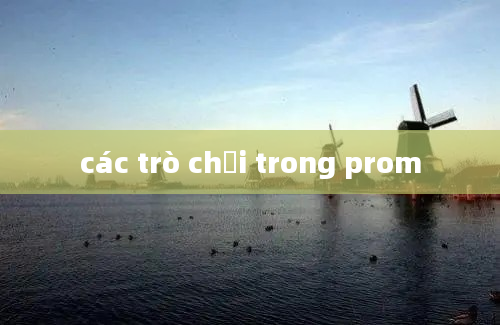 các trò chơi trong prom