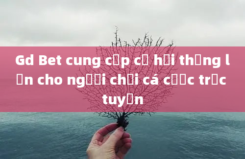 Gd Bet cung cấp cơ hội thắng lớn cho người chơi cá cược trực tuyến