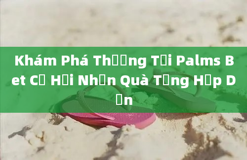 Khám Phá Thưởng Tại Palms Bet Cơ Hội Nhận Quà Tặng Hấp Dẫn