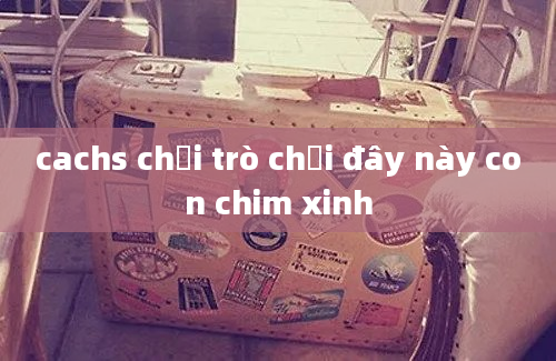 cachs chơi trò chơi đây này con chim xinh