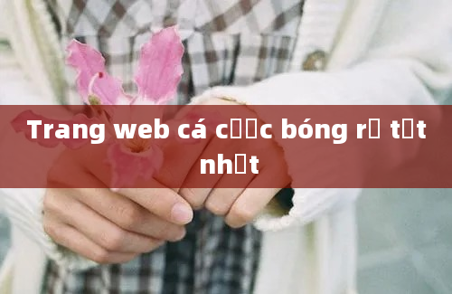 Trang web cá cược bóng rổ tốt nhất