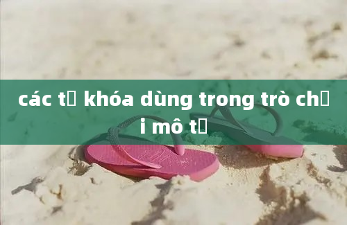 các từ khóa dùng trong trò chơi mô tả