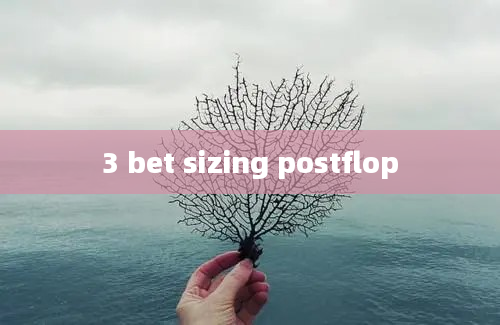 3 bet sizing postflop