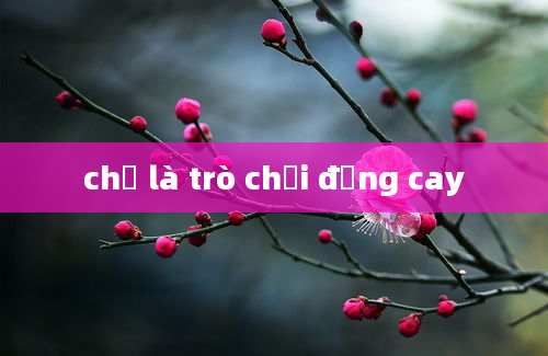 chỉ là trò chơi đắng cay