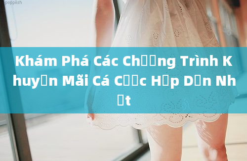 Khám Phá Các Chương Trình Khuyến Mãi Cá Cược Hấp Dẫn Nhất