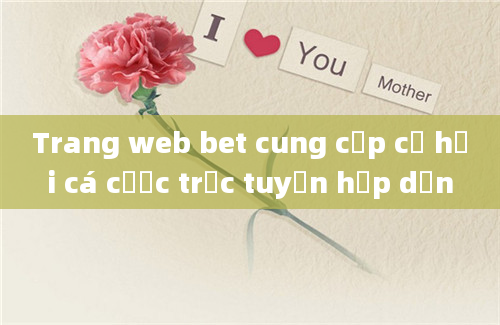 Trang web bet cung cấp cơ hội cá cược trực tuyến hấp dẫn