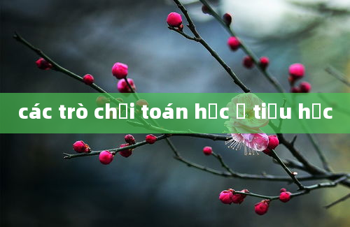 các trò chơi toán học ở tiểu học