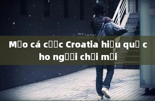 Mẹo cá cược Croatia hiệu quả cho người chơi mới