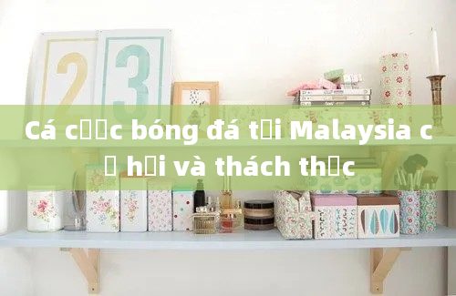 Cá cược bóng đá tại Malaysia cơ hội và thách thức