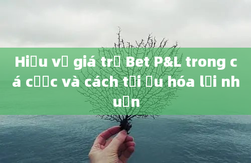 Hiểu về giá trị Bet P&L trong cá cược và cách tối ưu hóa lợi nhuận