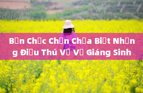 Bạn Chắc Chắn Chưa Biết Những Điều Thú Vị Về Giáng Sinh