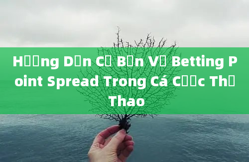 Hướng Dẫn Cơ Bản Về Betting Point Spread Trong Cá Cược Thể Thao