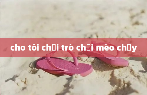 cho tôi chơi trò chơi mèo chạy