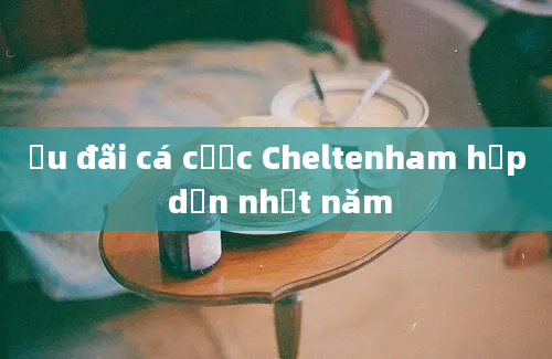 Ưu đãi cá cược Cheltenham hấp dẫn nhất năm