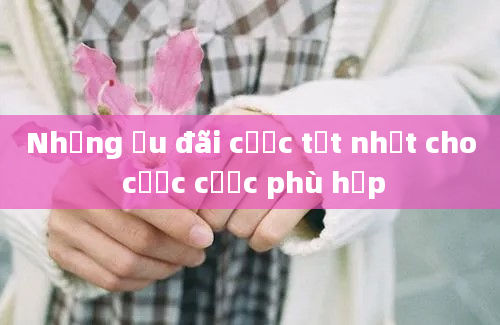 Những ưu đãi cược tốt nhất cho cược cược phù hợp