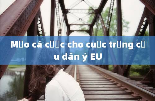 Mẹo cá cược cho cuộc trưng cầu dân ý EU