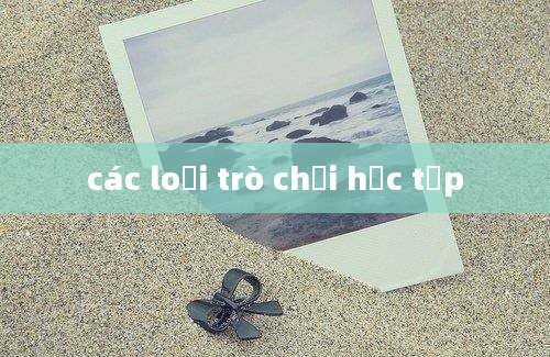 các loại trò chơi học tập