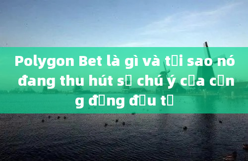 Polygon Bet là gì và tại sao nó đang thu hút sự chú ý của cộng đồng đầu tư