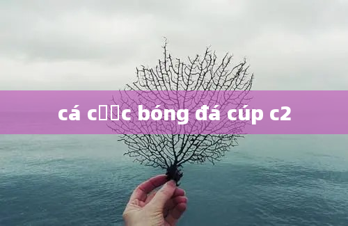 cá cược bóng đá cúp c2