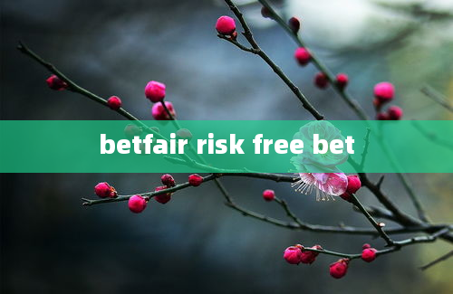 betfair risk free bet