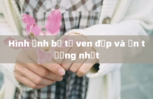 Hình ảnh bể tớ ven đẹp và ấn tượng nhất