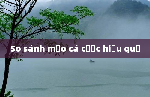 So sánh mẹo cá cược hiệu quả